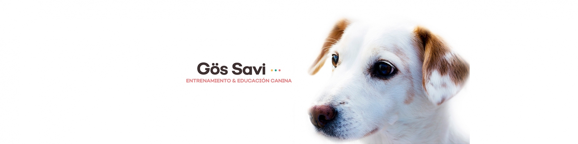 GÖS SAVI _1